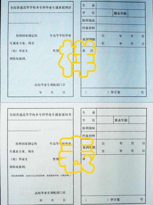超越金牌，我所理解的奥运精神