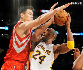巨人落笔,姚明NBA生涯的得分密码与东方智慧 巨人落笔,姚明NBA生涯的得分密码与东方智慧