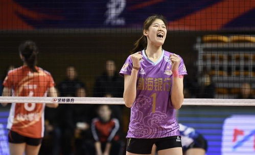 排坛新规解析,2024年排球比赛最新规则全面解读 排坛新规解析,2024年排球比赛最新规则全面解读